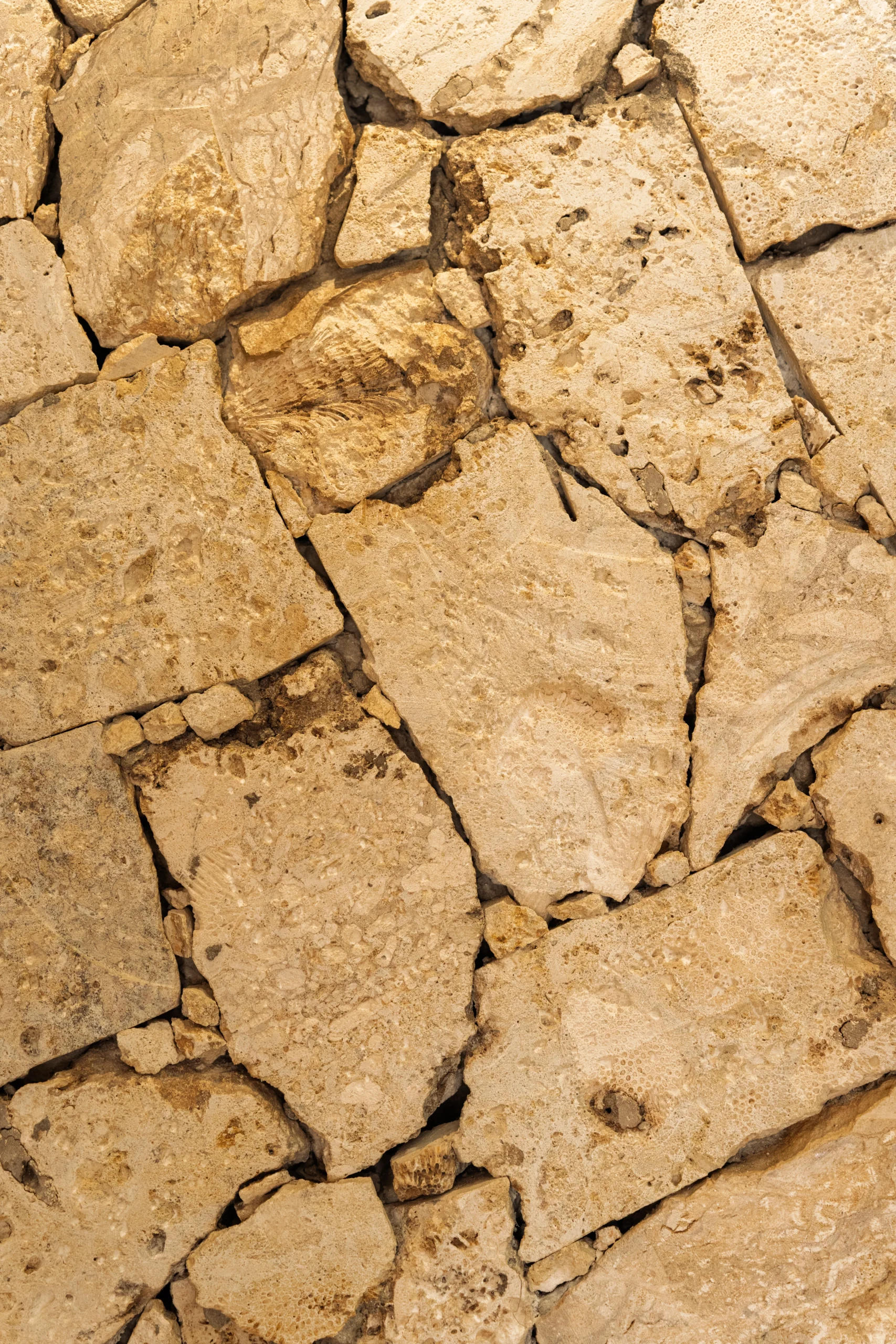 Texturas de piedras en Lazuli Coast Club Tierra Bomba Cartagena